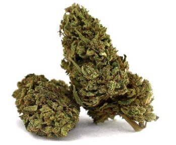 CBD Kanapių Žiedai „Godfather OG“ – Premium Kokybė